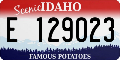 ID license plate E129023