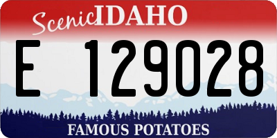 ID license plate E129028