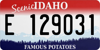 ID license plate E129031