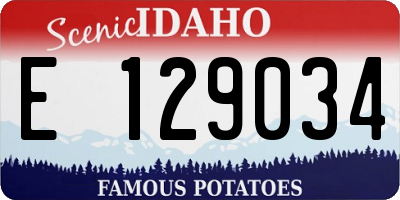 ID license plate E129034