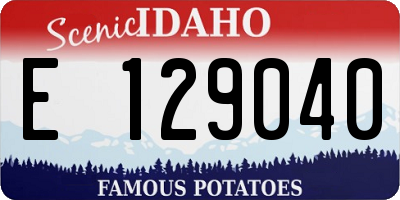 ID license plate E129040