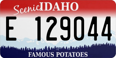 ID license plate E129044