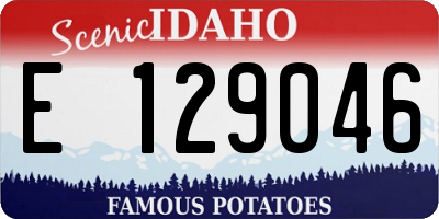 ID license plate E129046