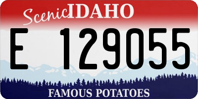 ID license plate E129055