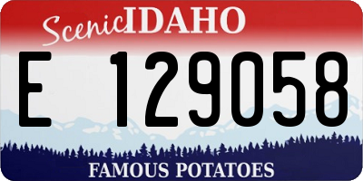 ID license plate E129058
