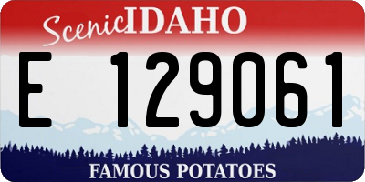 ID license plate E129061