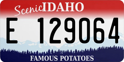 ID license plate E129064