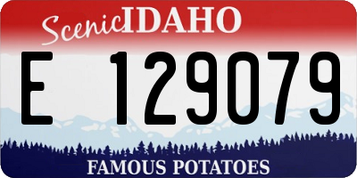 ID license plate E129079
