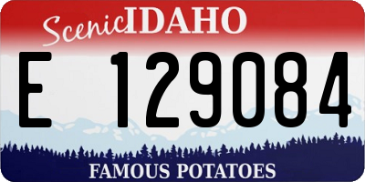 ID license plate E129084
