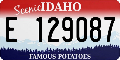 ID license plate E129087