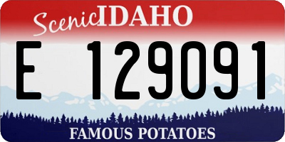 ID license plate E129091
