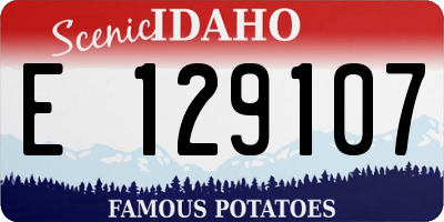 ID license plate E129107