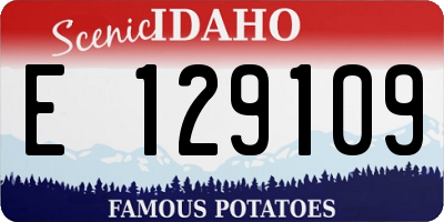 ID license plate E129109
