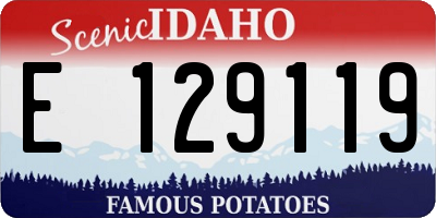 ID license plate E129119