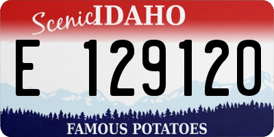 ID license plate E129120