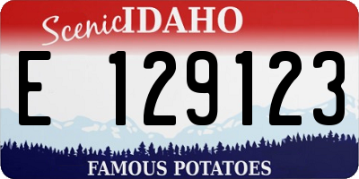 ID license plate E129123