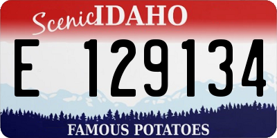 ID license plate E129134