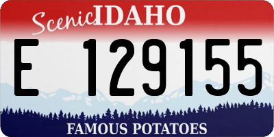 ID license plate E129155