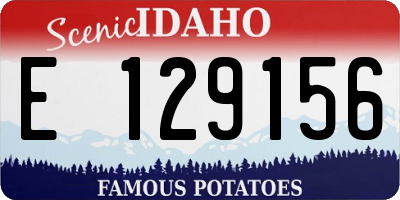 ID license plate E129156