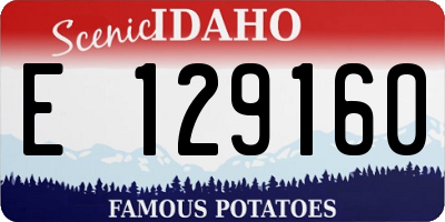 ID license plate E129160
