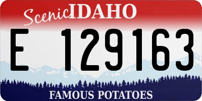 ID license plate E129163
