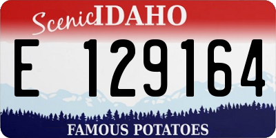 ID license plate E129164