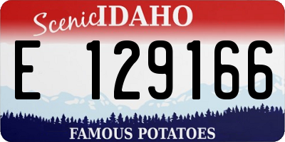 ID license plate E129166