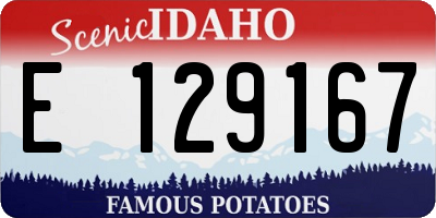 ID license plate E129167