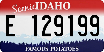ID license plate E129199