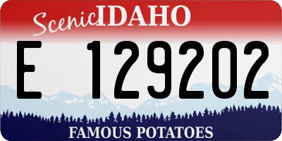 ID license plate E129202
