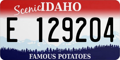ID license plate E129204