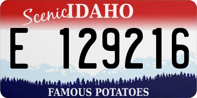 ID license plate E129216