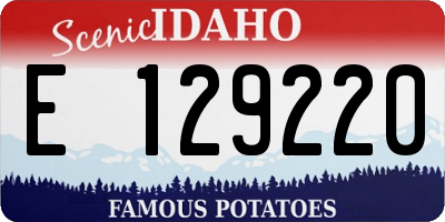 ID license plate E129220