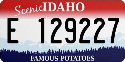 ID license plate E129227
