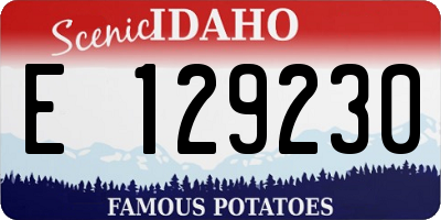 ID license plate E129230