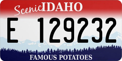 ID license plate E129232