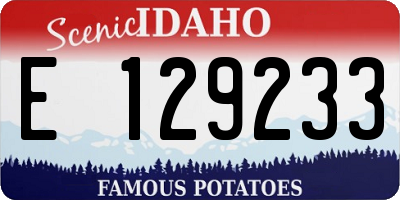 ID license plate E129233