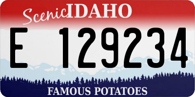 ID license plate E129234