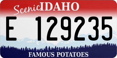 ID license plate E129235