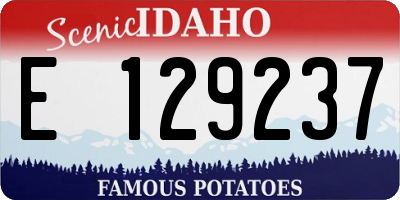 ID license plate E129237