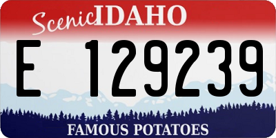 ID license plate E129239