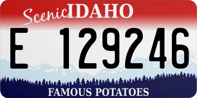 ID license plate E129246
