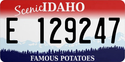 ID license plate E129247