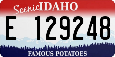 ID license plate E129248