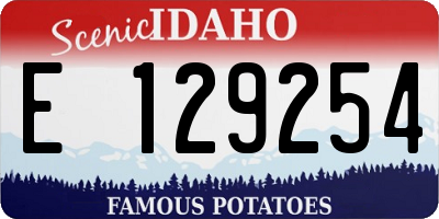 ID license plate E129254