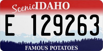 ID license plate E129263