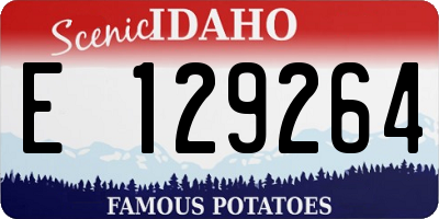 ID license plate E129264