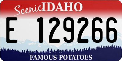 ID license plate E129266