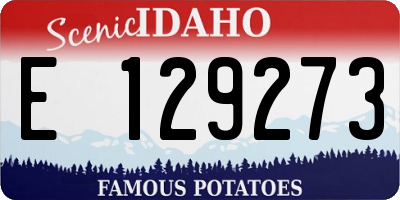 ID license plate E129273