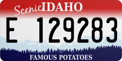 ID license plate E129283